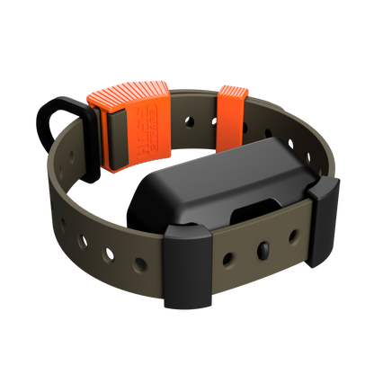 Training Collar Setup
