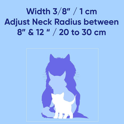 Reflective Teal Cat Collar with Safety Buckle and Removable Bell for Kitten and Cats